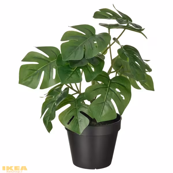 گیاه گلدانی Monstera مصنوعی مدل FEJKA | برند ایکیا | ارسال 15 الی 20 روز کاری