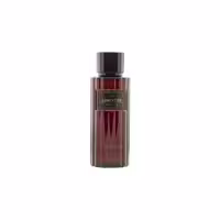 Absinthe Respect EDP 100 ml - ادوپرفیوم مردانه ابسنت ریسپکت حجم 100 میلی‌لیتر - نگین عطر