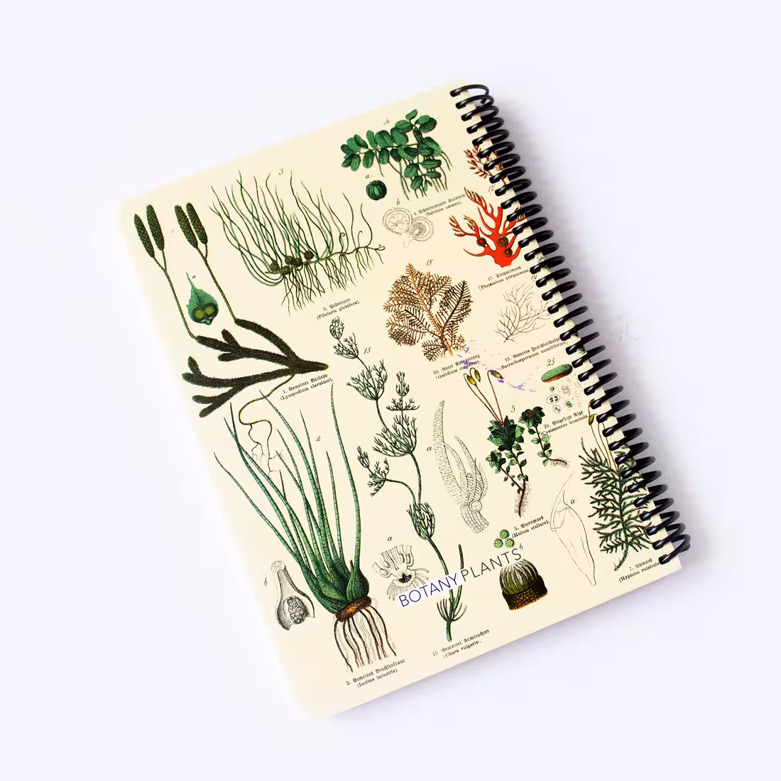 دفتر خط دار PLANTS دات نوت (dotnote)