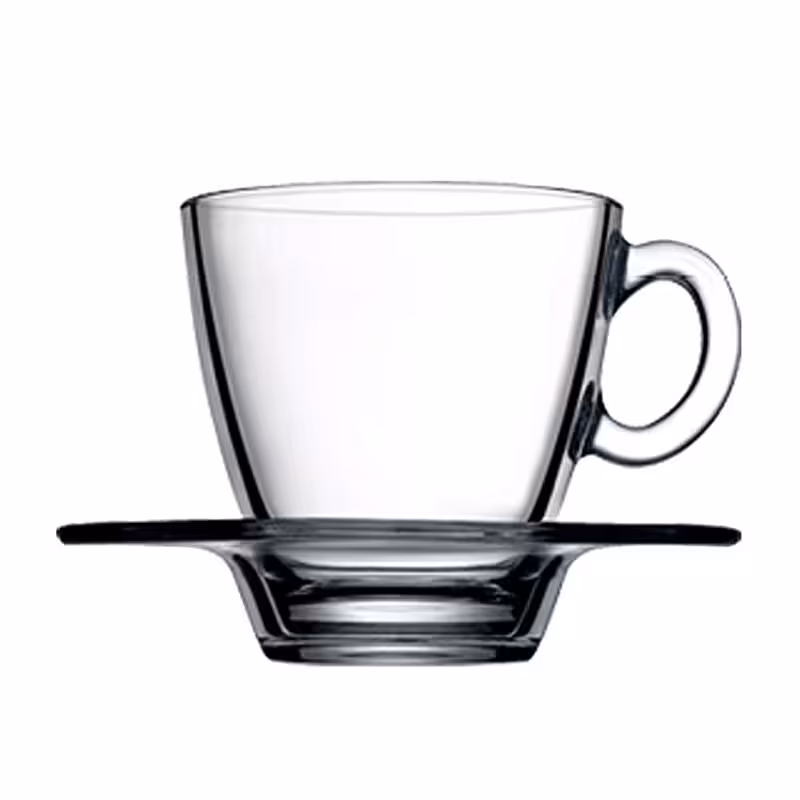 ست فنجان و نعلبکی پاشاباغچه مدل آکوا کد 95040 ست 12 پارچه