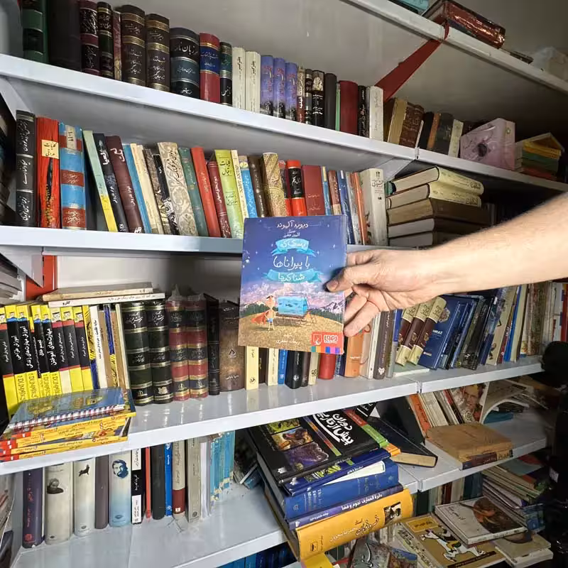 کتاب پسری که با پیراناها شنا کرد