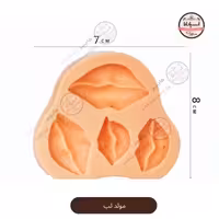 قالب مولد سیلیکونی لب