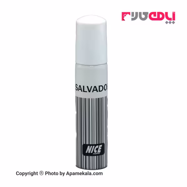 عطر جیبی مردانه برند نایس مدل SALVADOR