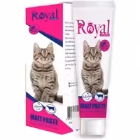 خمیر مالت مخصوص گربه رویال کوکو با طعم گوشت وزن 100 گرم