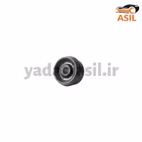 بوش اکسل پژو کاپلان پلاس