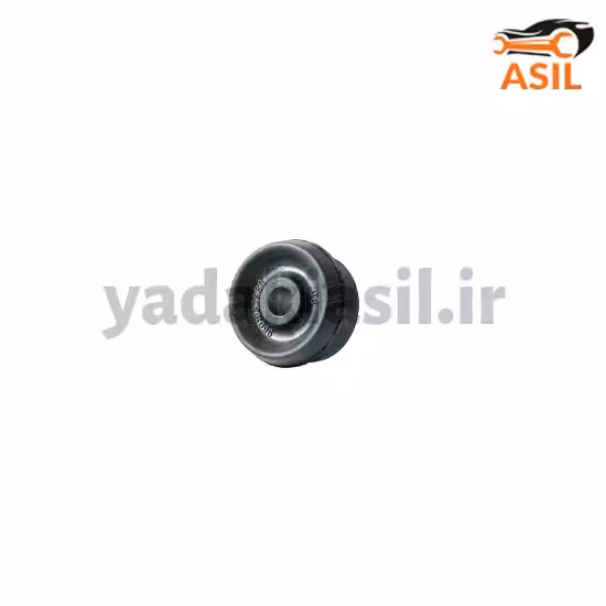 بوش اکسل پژو کاپلان پلاس