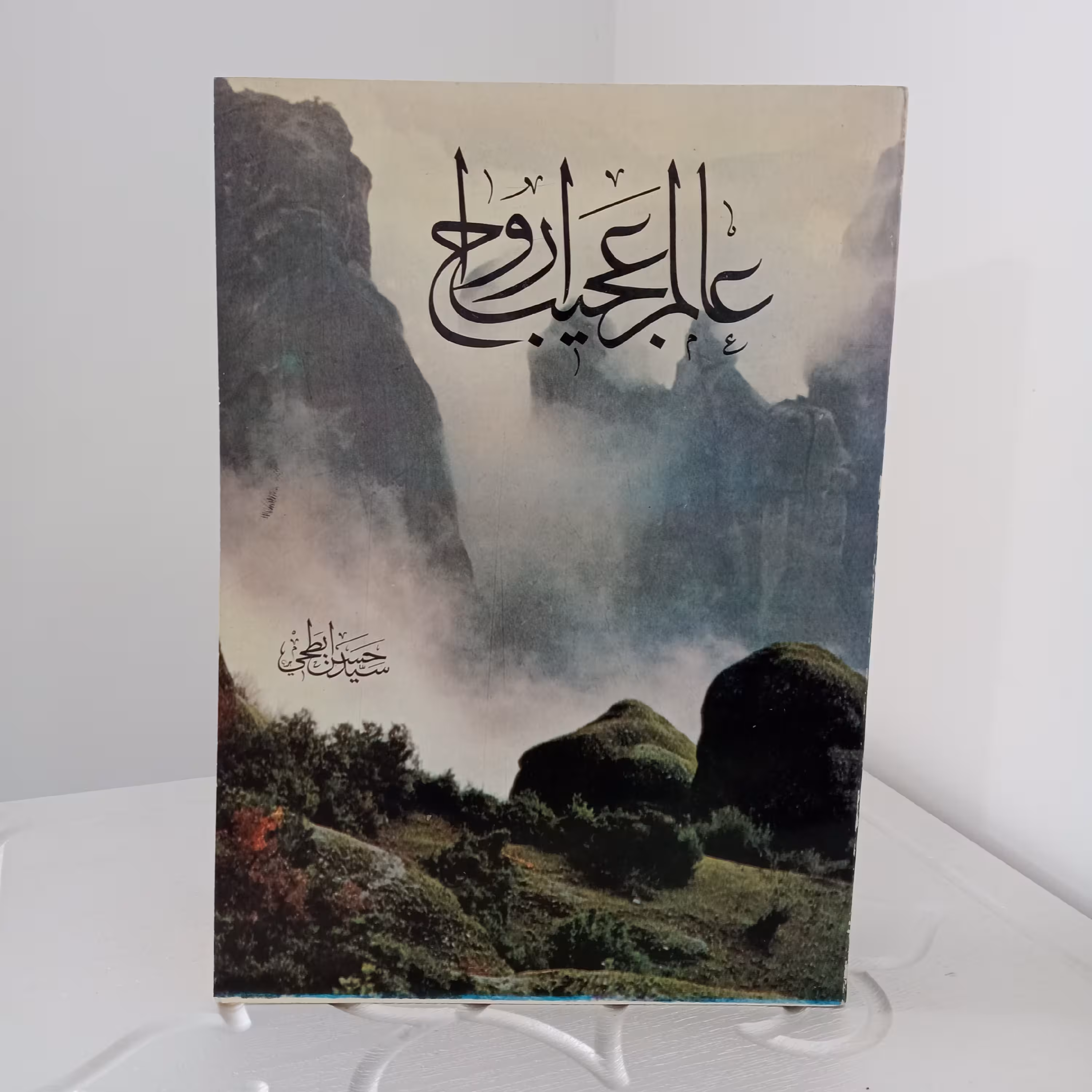 کتاب عالم عجیب ارواح (سیدحسن ابطحی)