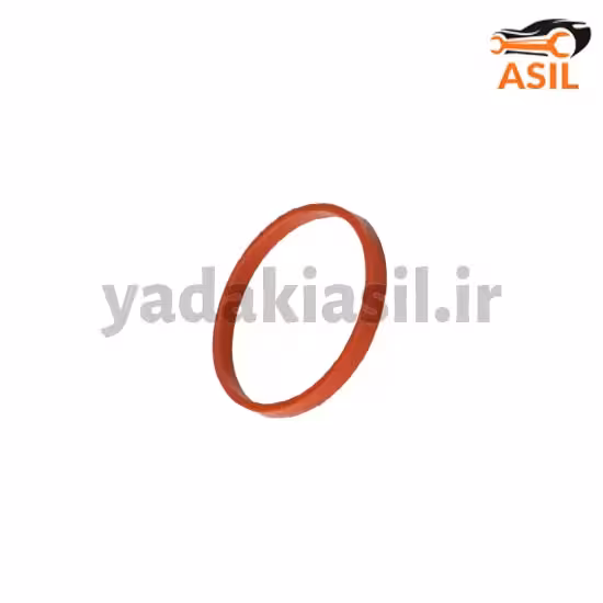 اورینگ منیفولد 206 تیپ T2 دینا پارت
