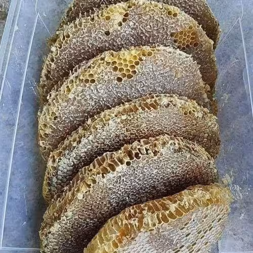 عسل سبدی موم خودبافت ساکارز کمتر از 2 یک کیلویی(عسل فروشی بهاره سبلان سرعین)