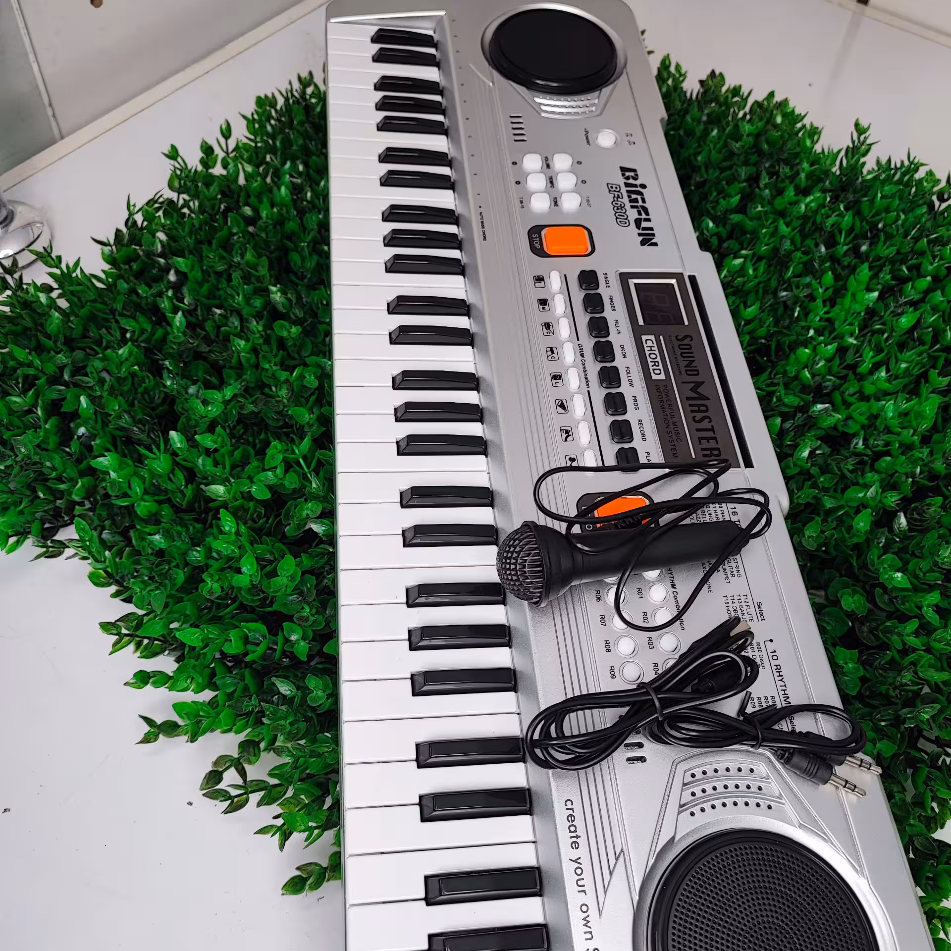 ارگ حرفه ایی