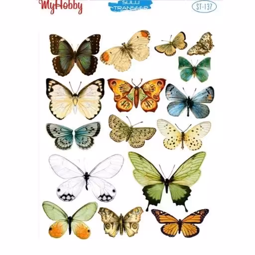 ترانسفر آبی My Hobby کد 137