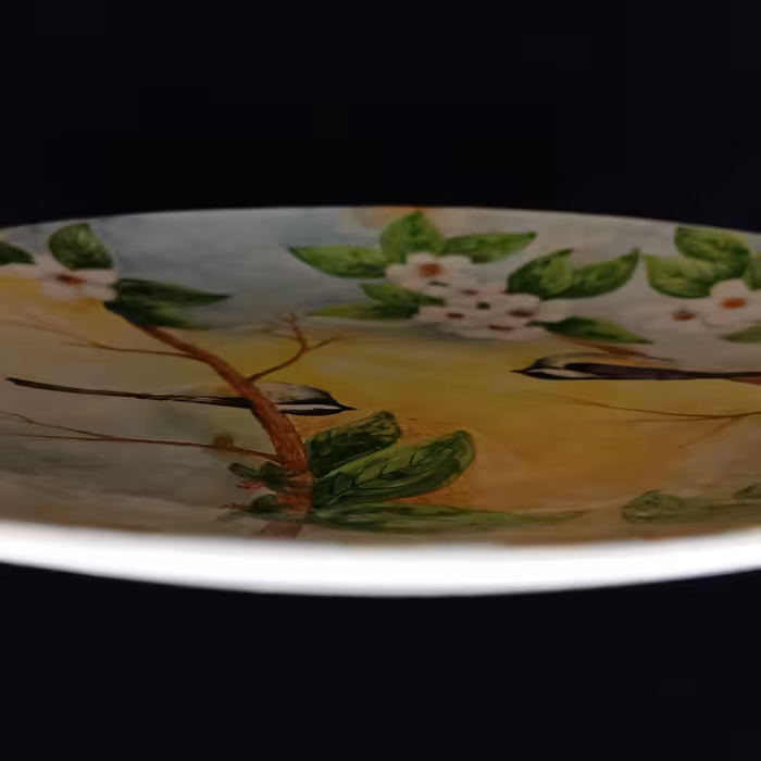 شیرینی خوری سرامیکی هیوا طرح شکوفه کد 11152808