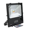 پروژکتور 30 وات فروردین مدل RGB کنترل دار
