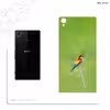 برچسب پوششی ماهوت مدل European bee-eater مناسب برای گوشی موبایل سونی Xperia Z1