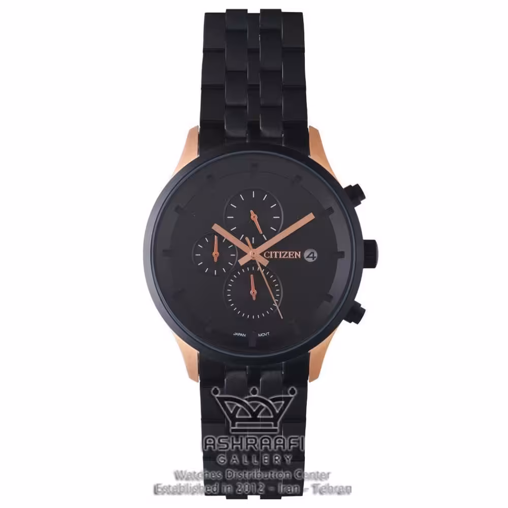 Citizen 17101G