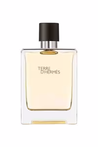 عطر ادکلن هرمس تق هرمس | Hermes Terre d’Hermes 100 ml