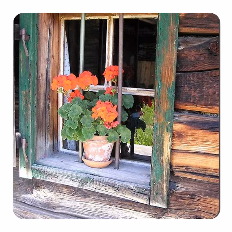 مگنت طرح گلدان شمعدانی پشت پنجره کد wmg541