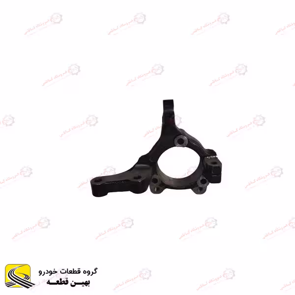 سگ دست جلو راست لاماری