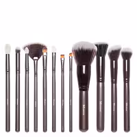 ست براش 12 تکه مورفی مدل 503