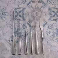 کارد استیک اس جی مدل 242m بسته 6 عددی – شیکاگو