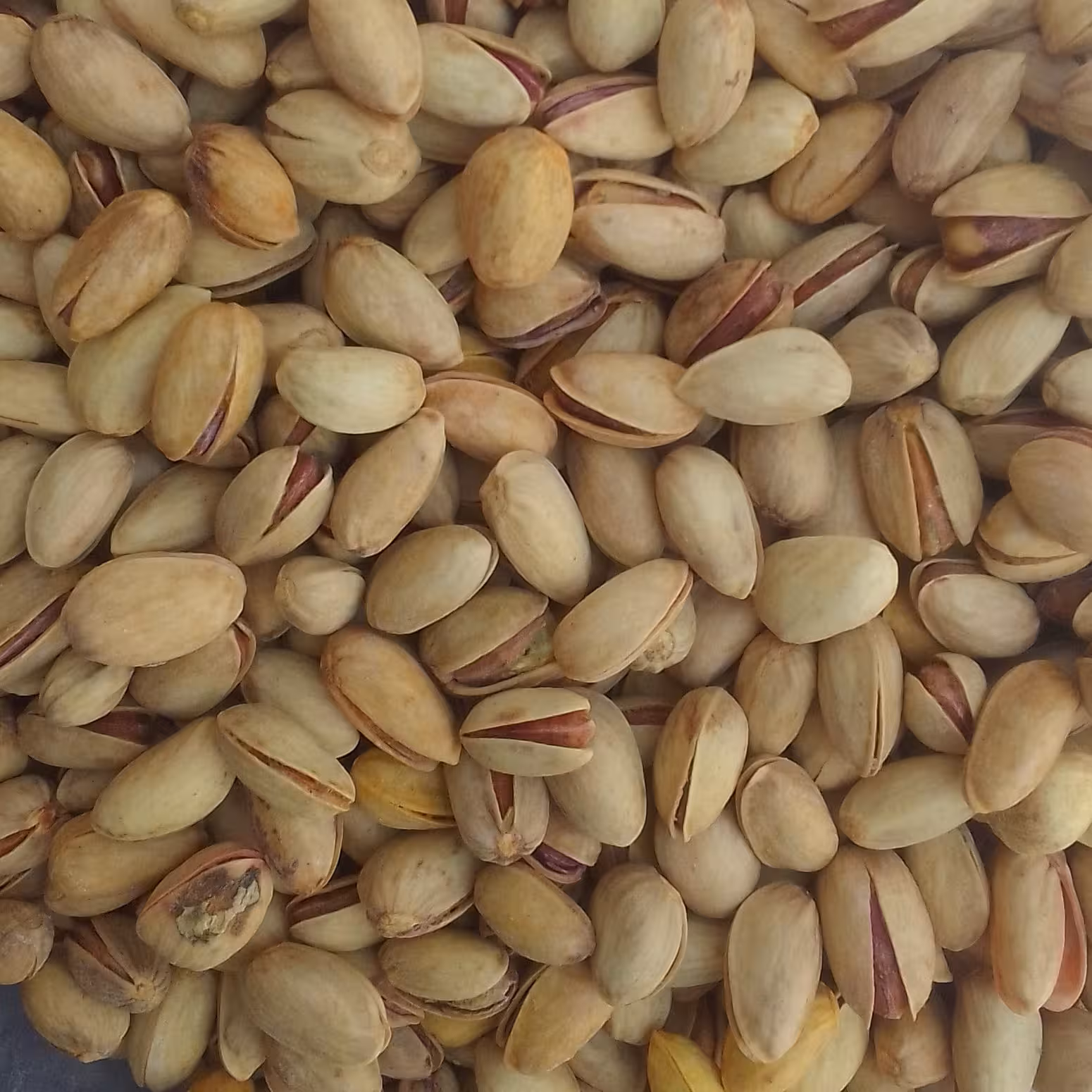 پسته بادامی (500گرم )