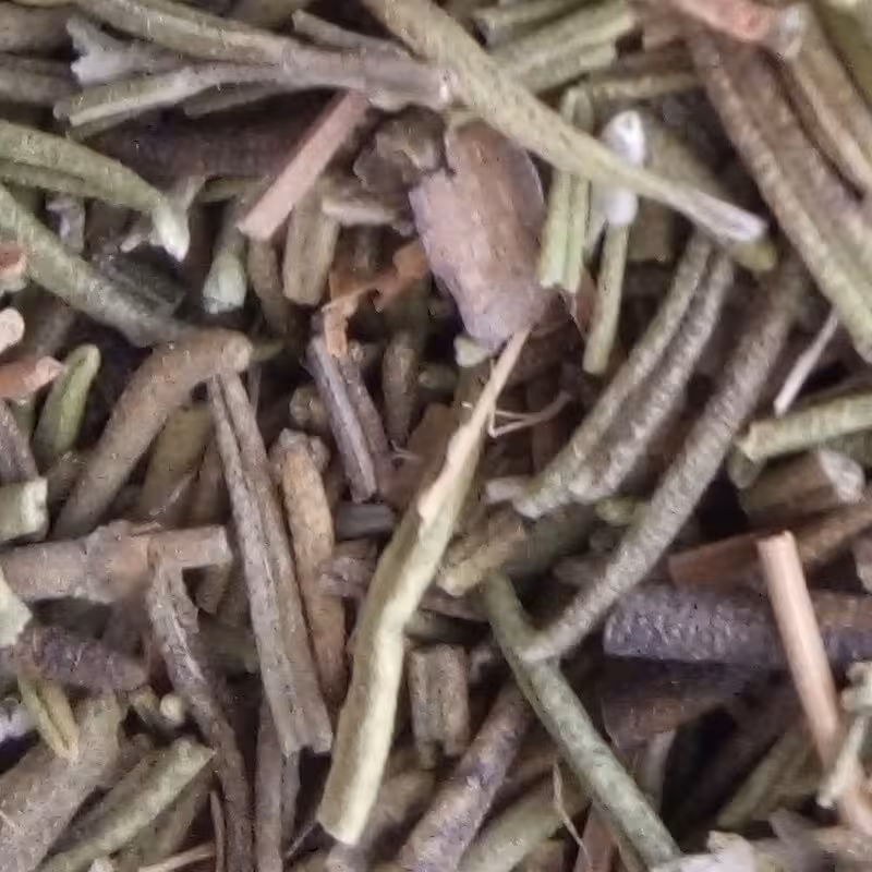 رزماری خشک 50 گرمی