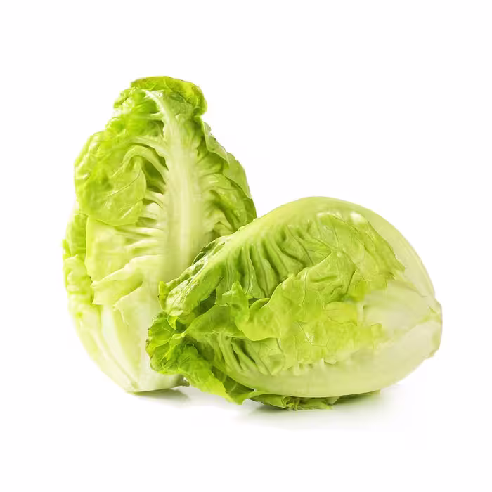 بذر کاهو لیتل جم سبز (Green Little Gem Lettuc