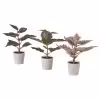 گلدان و گل مصنوعی 3 عددی ایکیا مدل Ikea FEJKA 505.229.88