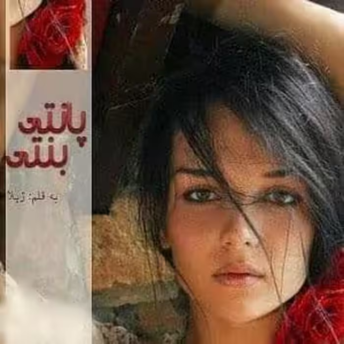 رمان پانتی بنتی pdf