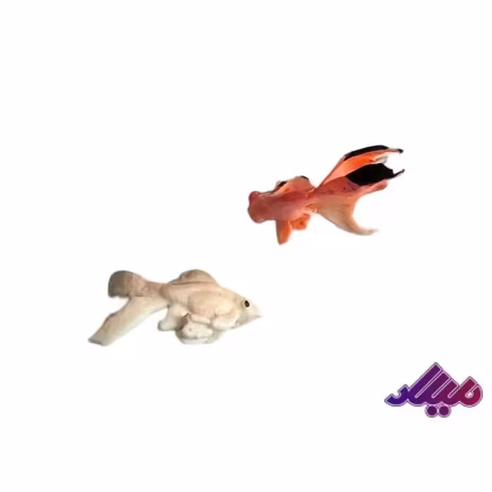 تزیینات ماهی 2 تایی 1.5 سانت رندم