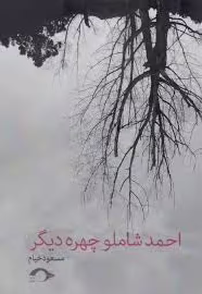 احمد شاملو، چهره دیگر