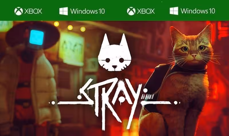 سی دی کی بازی Stray ایکس باکس و کامپیوتر (Xbox & PC)