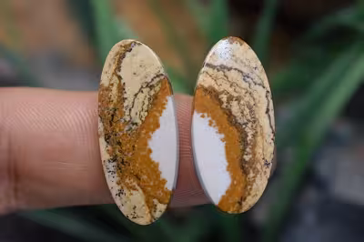 جاسپر تصویری