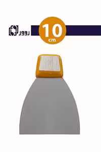 لیسه 10 سانت روور