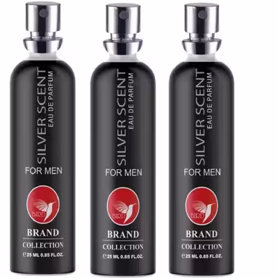 عطر جیبی مردانه برد برند کالکشن مدل سیلور سنت حجم 25 میلی لیتر مجموعه 3 عددی