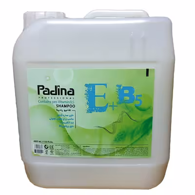 شامپو مو پادینا مدل E B5 حجم 4000 میلی لیتر
