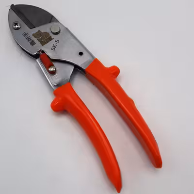 قیچی باغبانی مدل بیگ بر کد YP-SK5-HERFEI