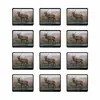 زیر لیوانی ماهوت مدل Horned-Deer بسته 12 عددی