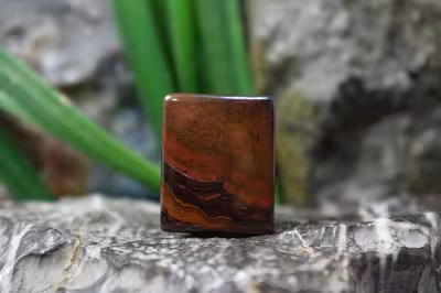 چشم ببر اهنی