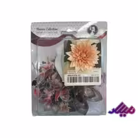 ست وینر و کاتر گل کوکب