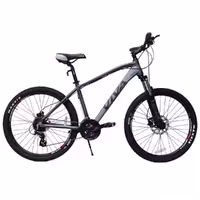 دوچرخه ویوا سایز 26 مدل هرمس VIVA HERMES PLUSدیسک هیدرولیک 24دنده