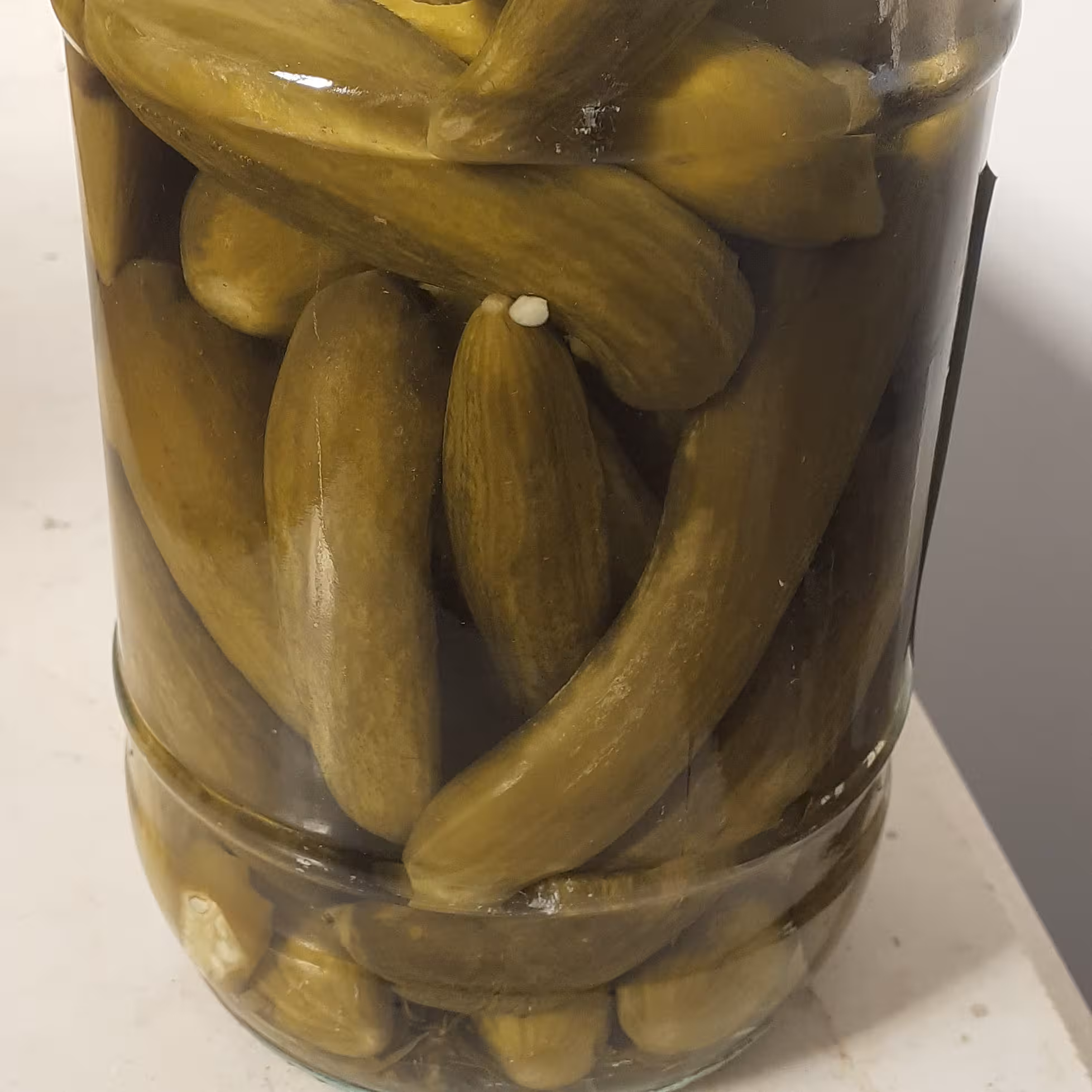 خیارشور ممتاز (تازه تولید) شمیسا 1500 گرمی