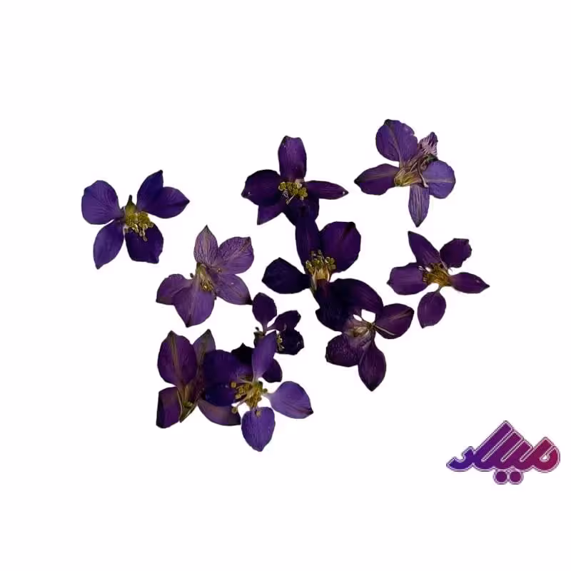 گل خشک ارکیده پرسی 10 عددی