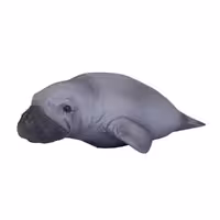 فیگور گاو دریایی MOJO manatee 387211
