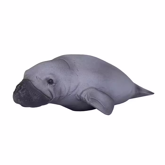 فیگور گاو دریایی MOJO manatee 387211