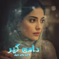 رمان دامن گیر از نویسنده هانیه وطن خواه