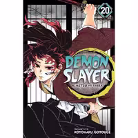 Demon Slayer - Kimetsu no Yaiba V20