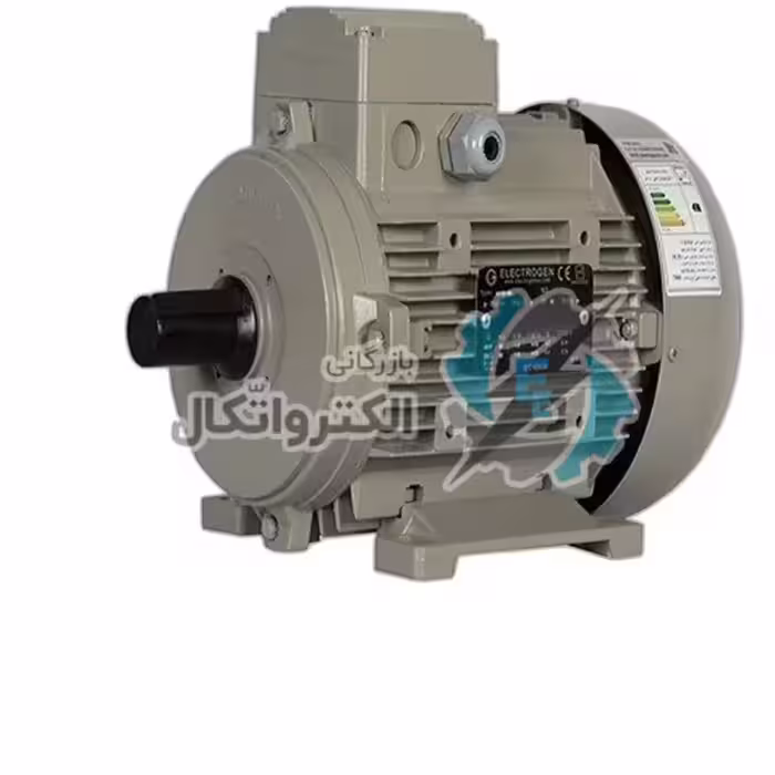 الکتروژن تک فاز(1/4 اسب بخار-2900دور در دقیقه)0.18kw_2pol-B3 (CR)