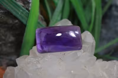 امتیست دامله(کاپوشی)