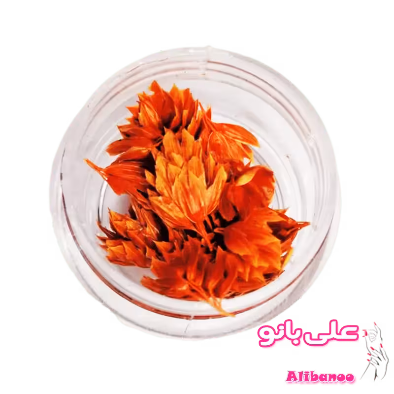 دیزاین گل خشک ناخن مدل 14